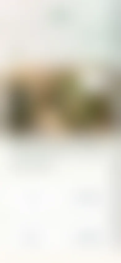 Permanently blurred Jubbo preview showing only soft colors and overall screen shapes.